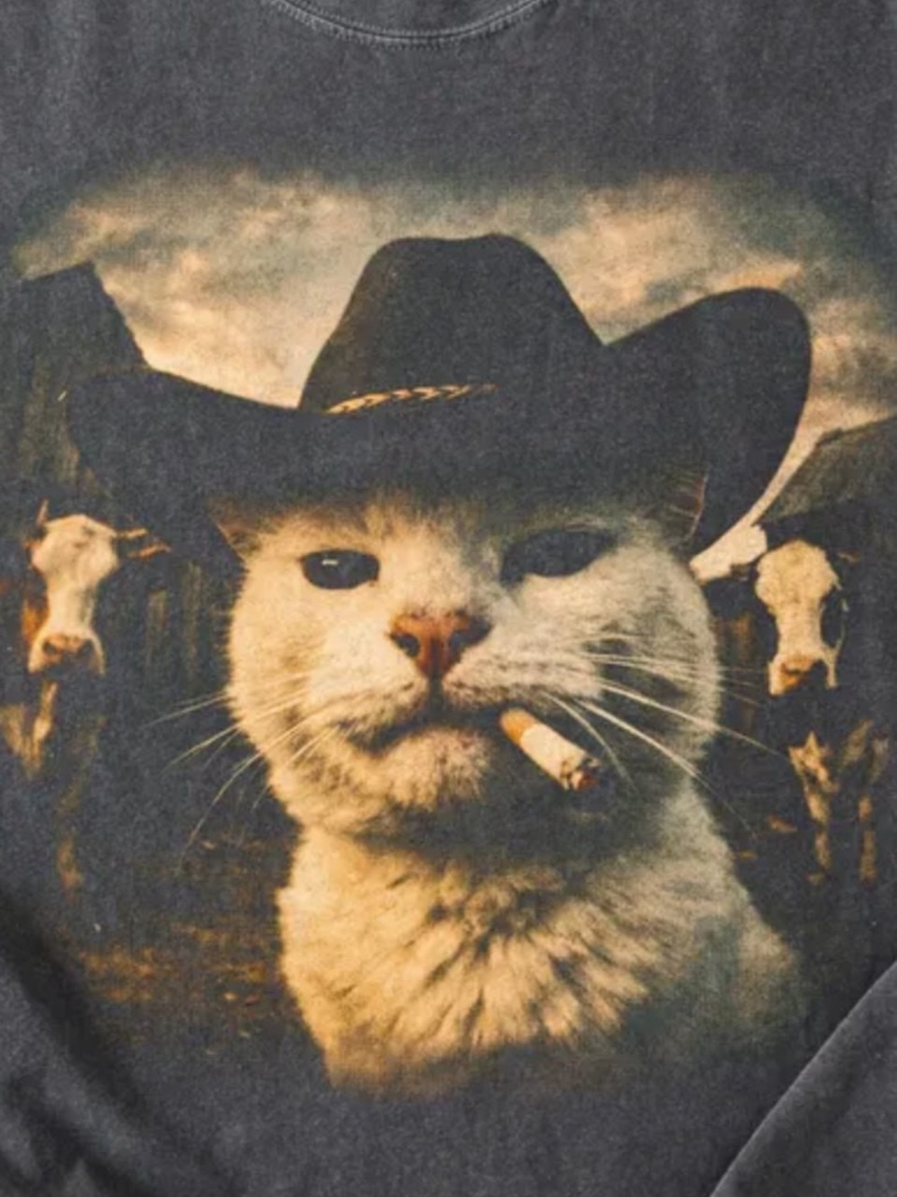 Comfort Colors Pepper Graphic Cat Cowboy Tee - Picture 2 of 3